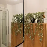 Rentplanet - Kilińskiego * Schreiberhau