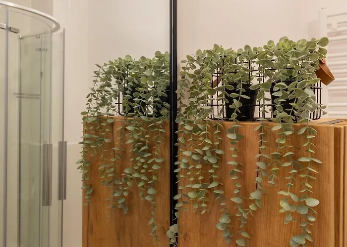 Rentplanet - Kilińskiego * Schreiberhau