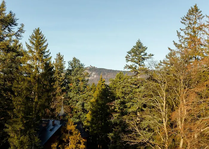 公寓 Rentplanet - Kilinskiego *